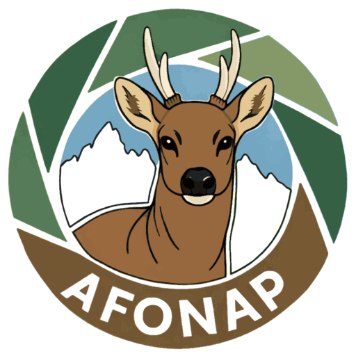 cropped logo afonap.png